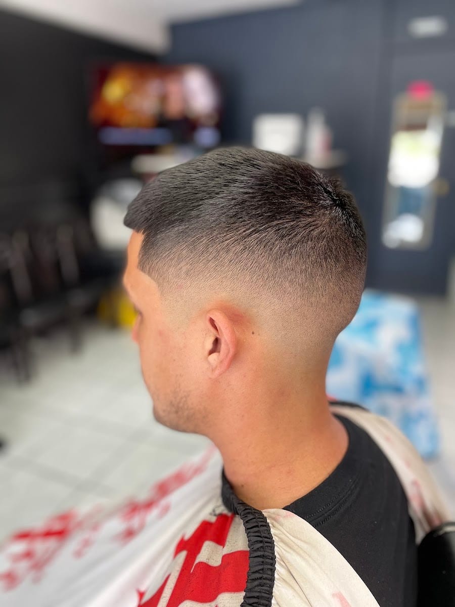 Freshly Faded, photo 2
