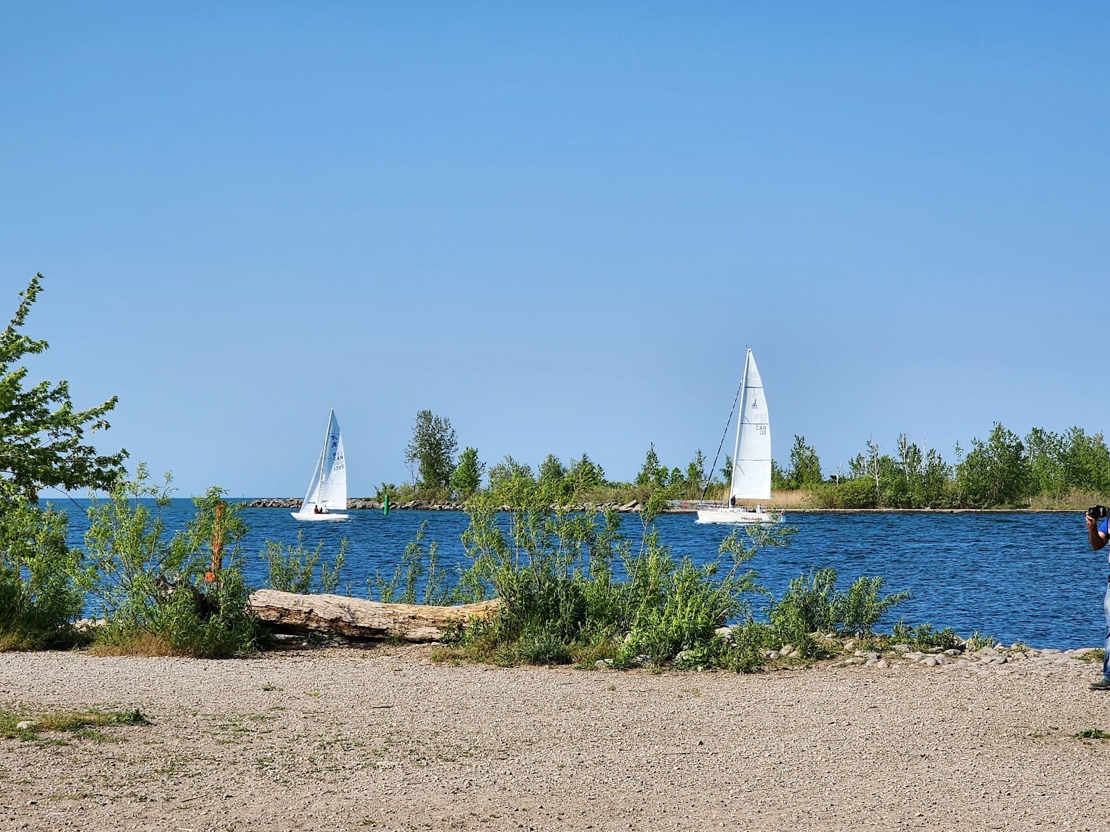 Cherry Beach Off Leash Dog Park