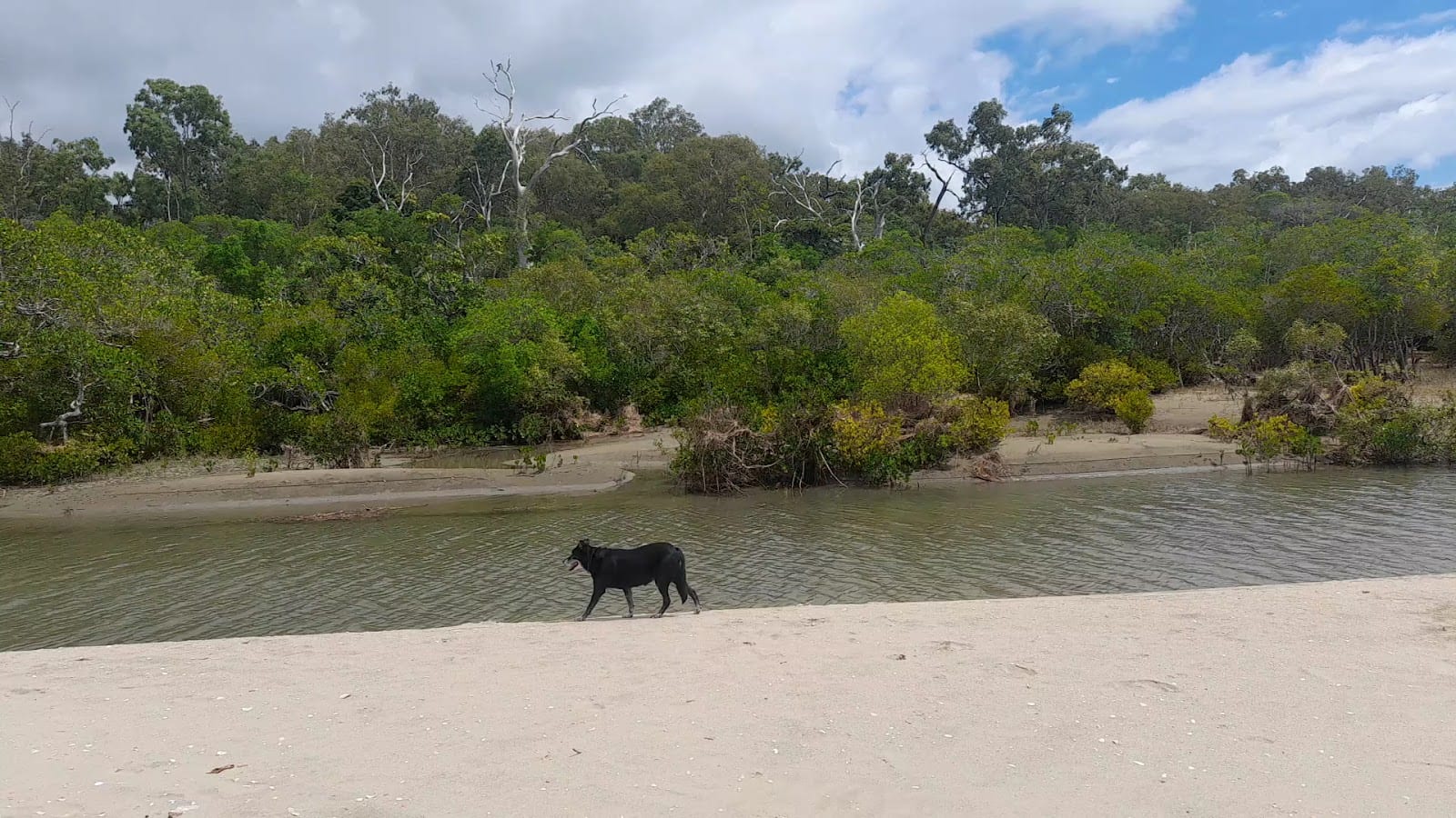 Maralyn Ross Playground, photo 2