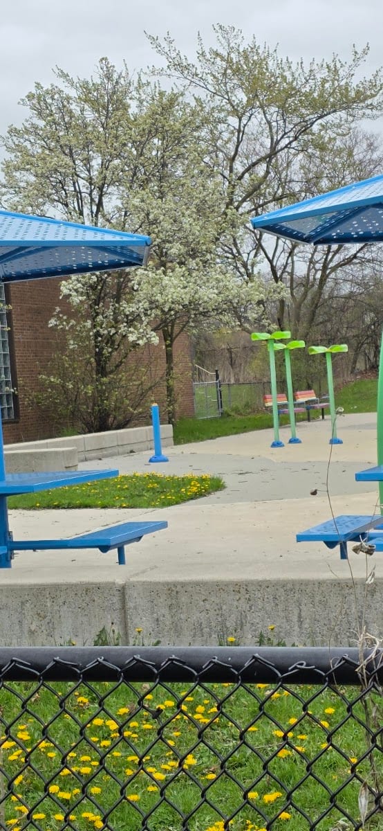Playground Paradise, photo 3