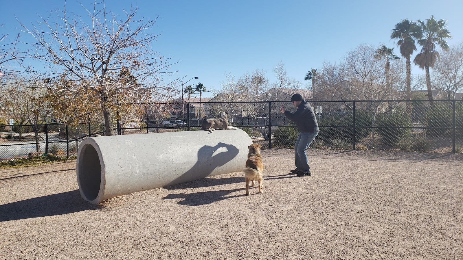 Winding Trails Park, photo 3