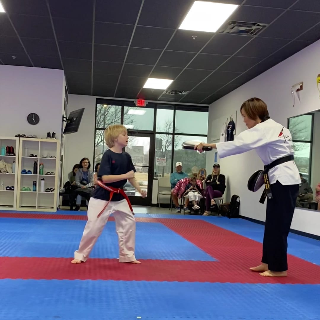 World Champion TaeKwonDo, photo 3
