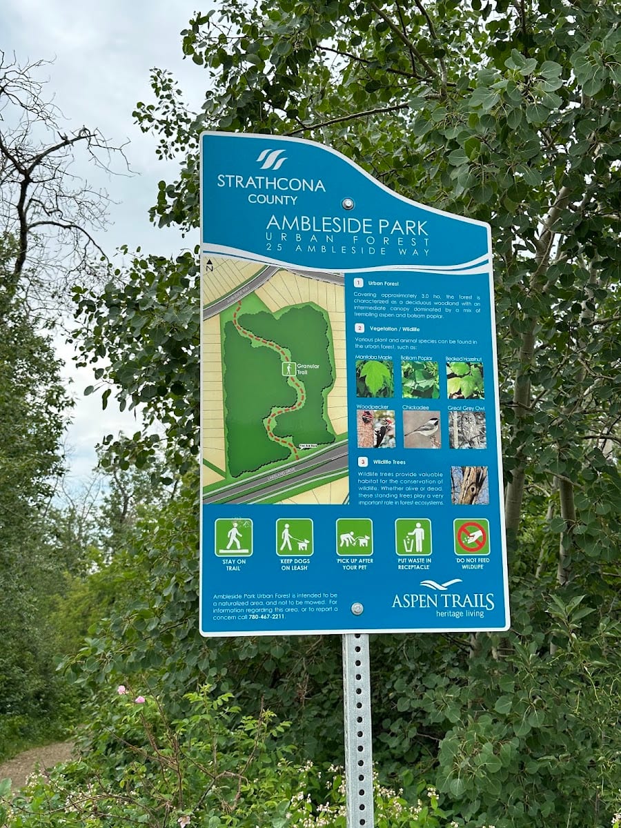 Ambleside park