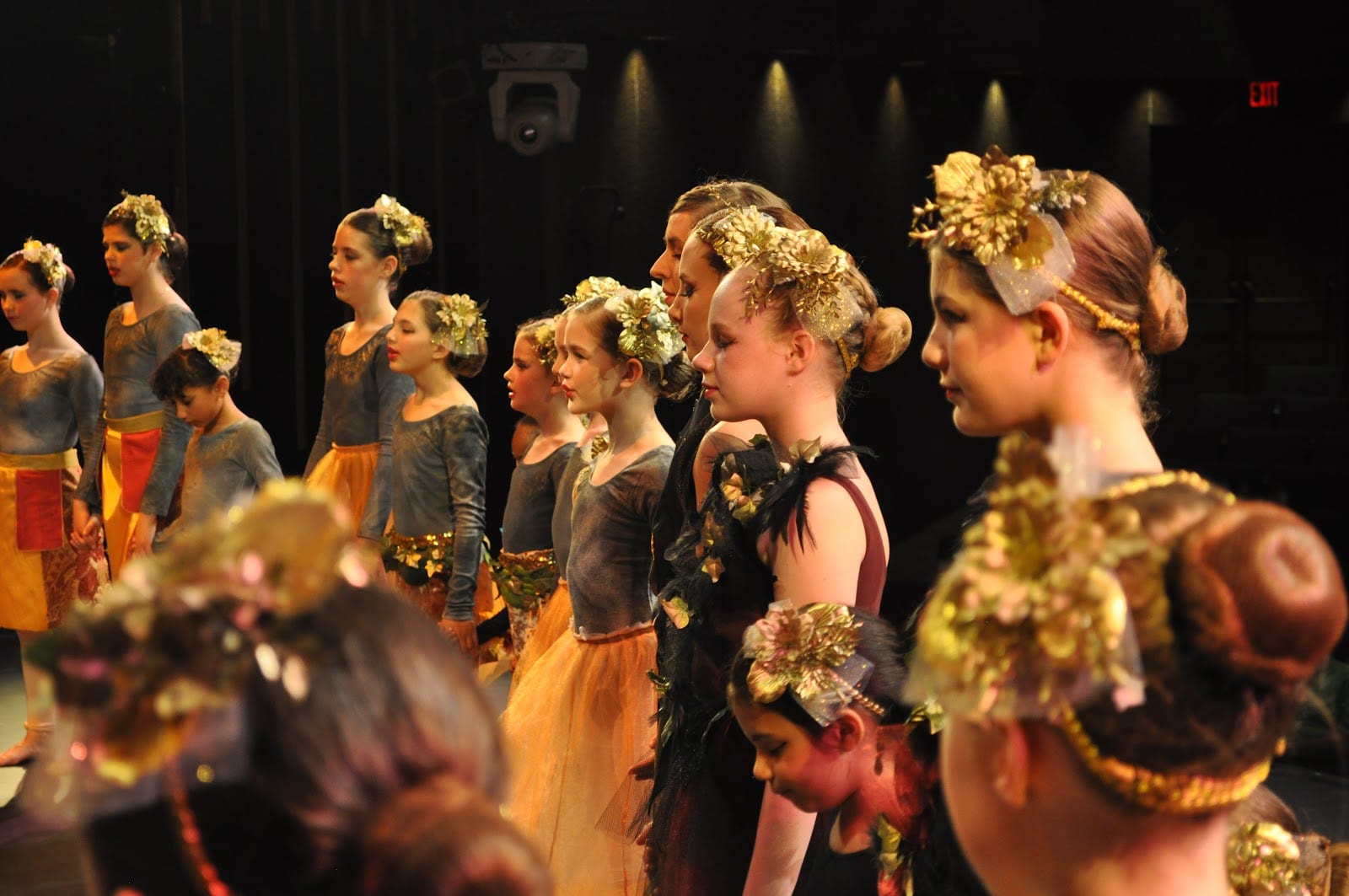 Rochester Dance Theatre, photo 2