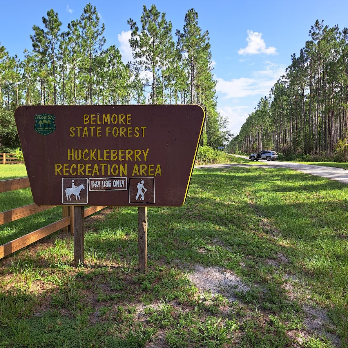 Belmore State Forest, photo 2