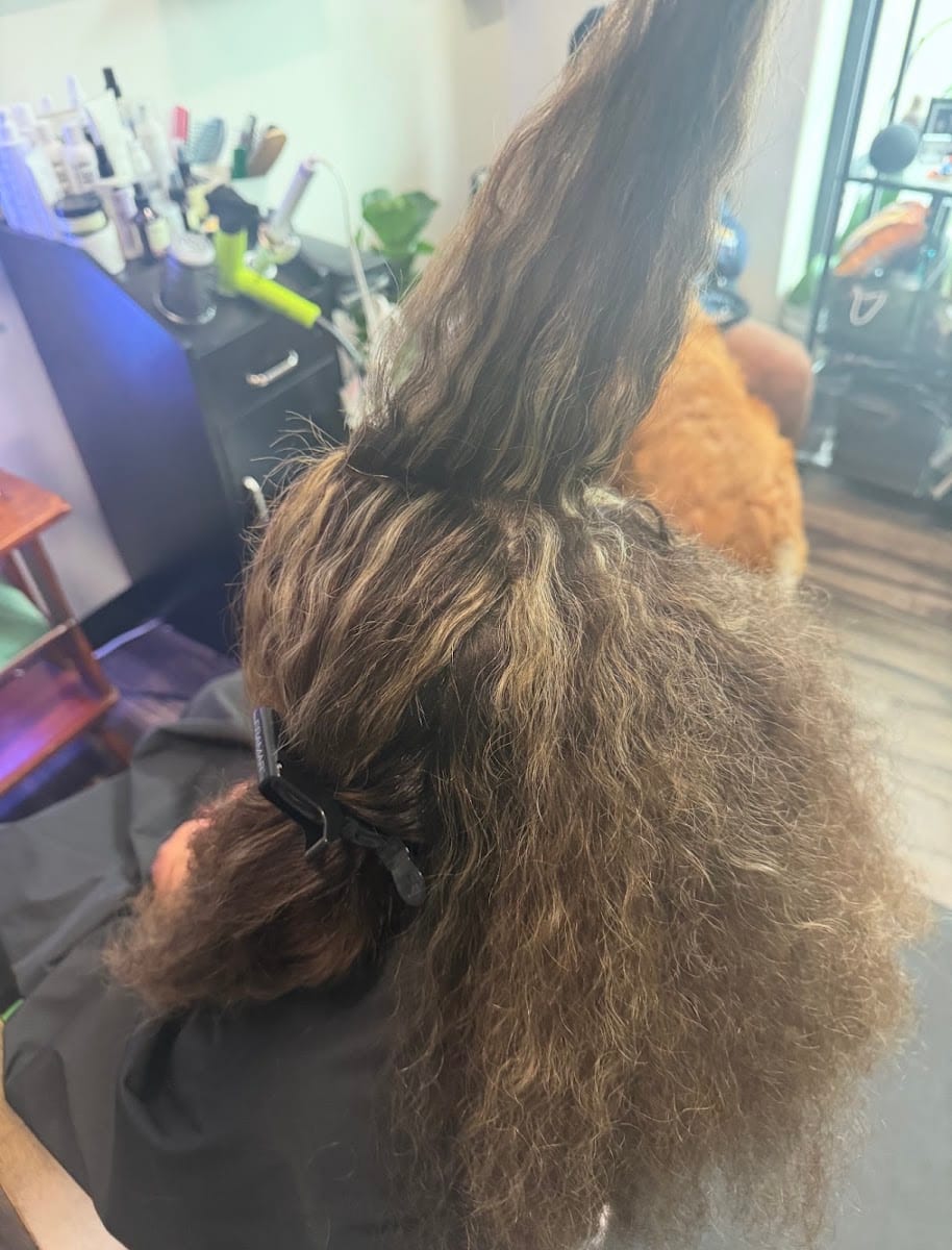 Madison Hair Garden, photo 4