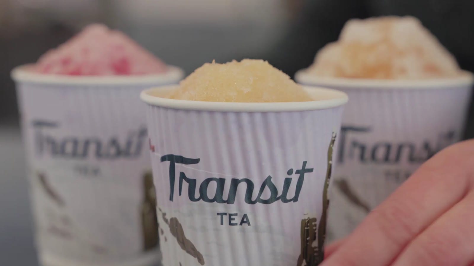 Transit Tea, photo 3