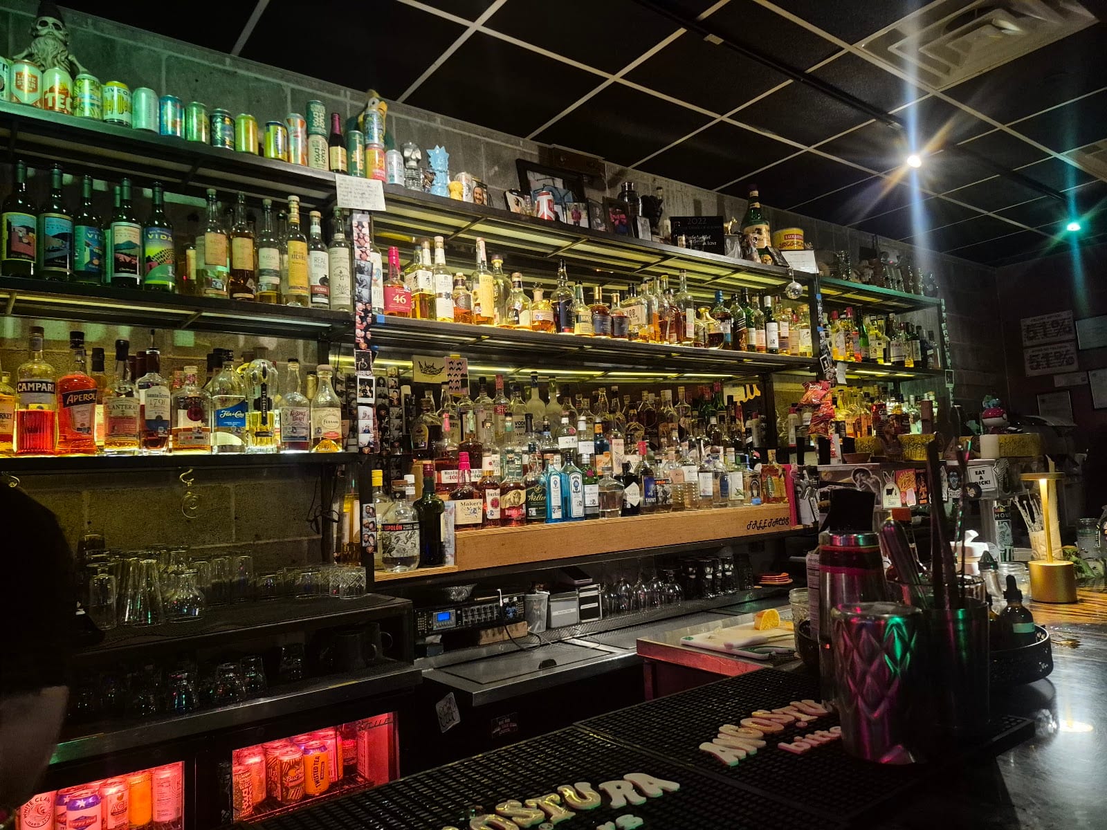 Two Headed Dog, photo 3
