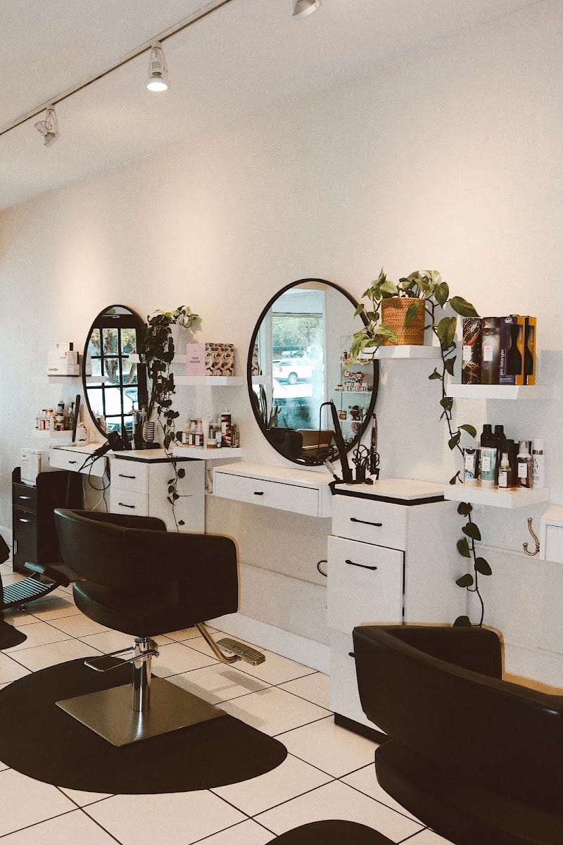 Salon 1820, photo 2