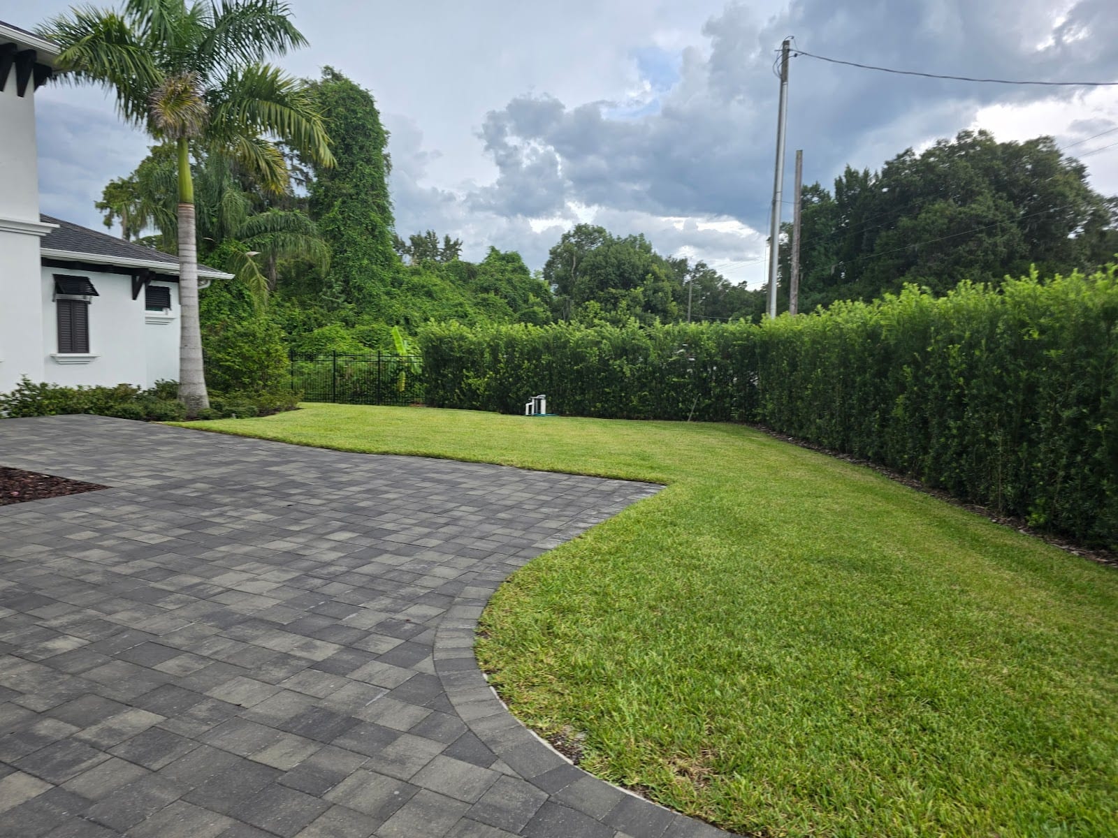 Landscaping Tune-Ups, photo 3