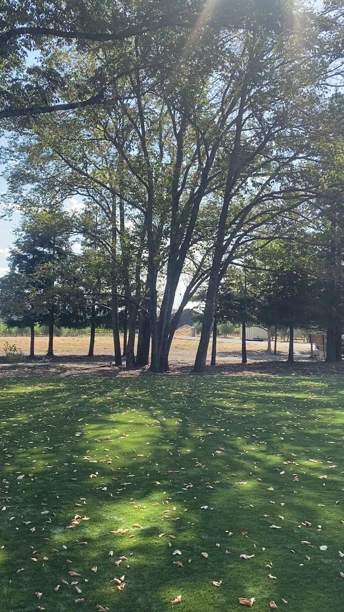 Frank Family Vineyards, photo 2