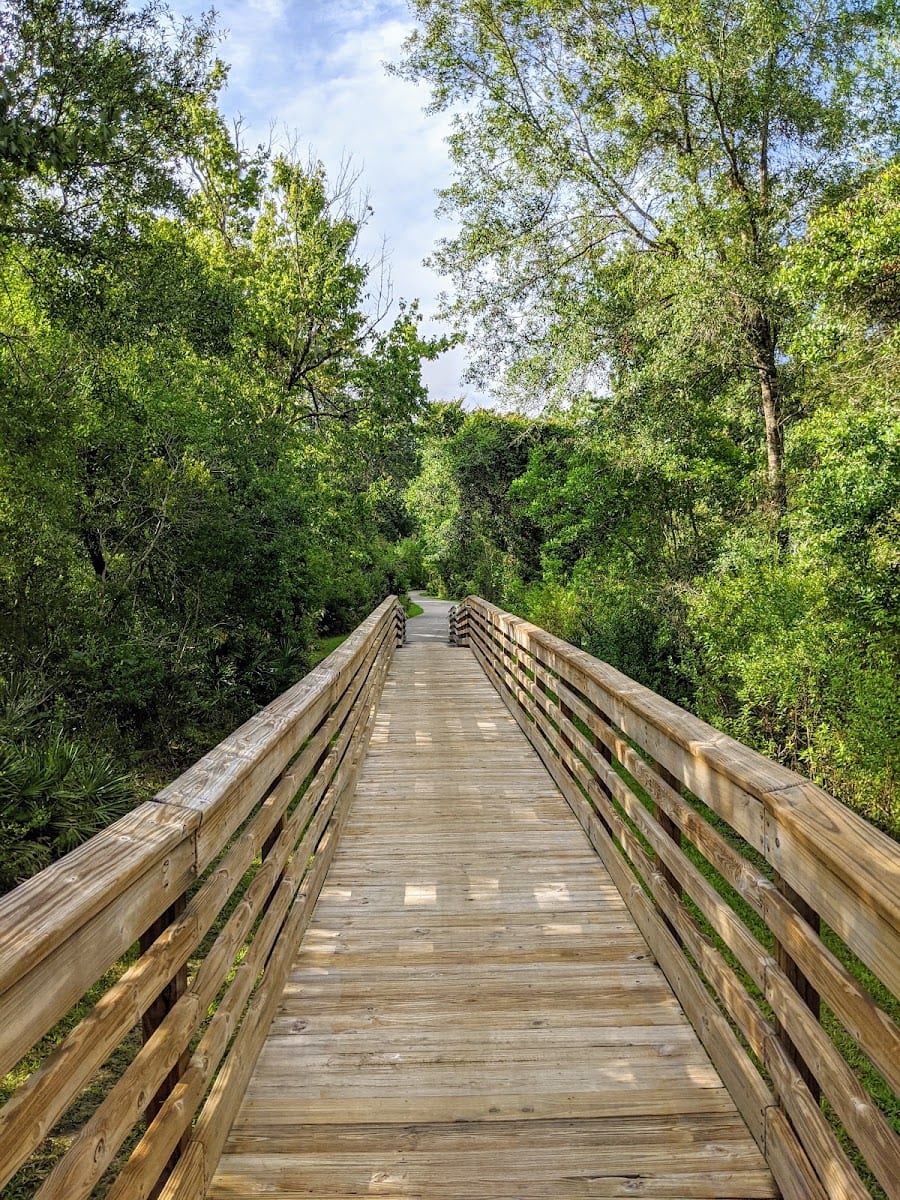 New Tampa Nature Park