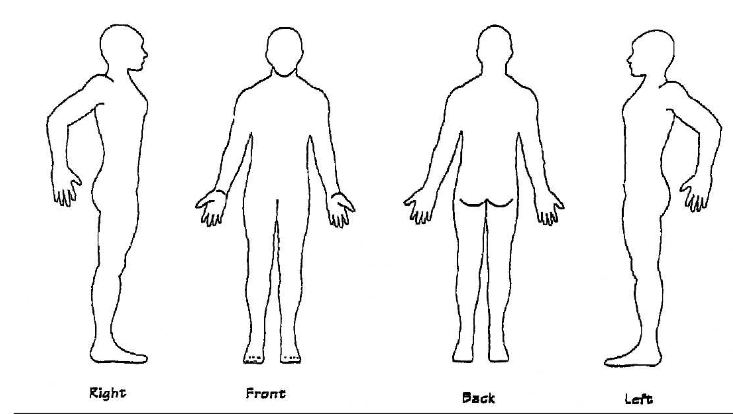Bodywork Therapies Inc, photo 2