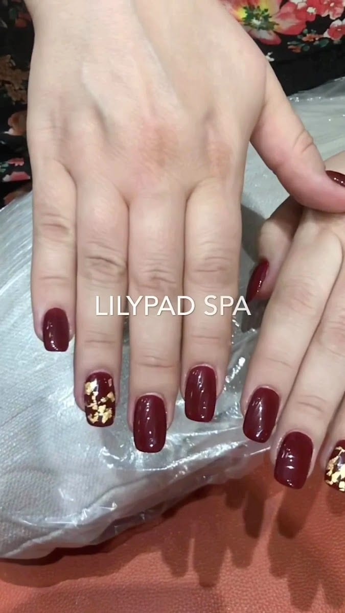 Lilypad Spa, photo 3