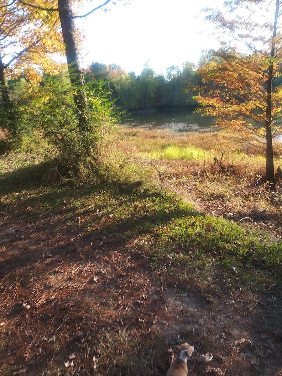 Union Park