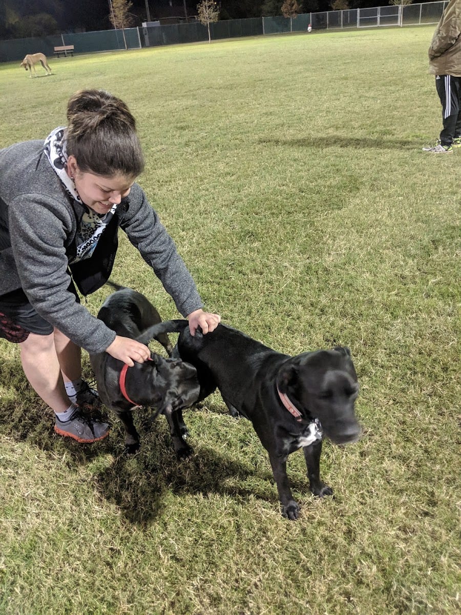 Pawsome Playground Dog Park