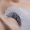 Mesmerizing Lashes