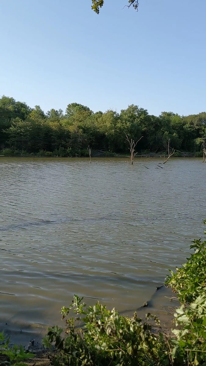 Beard Park, photo 3