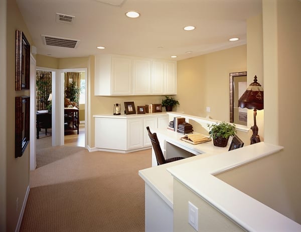Lily Janitorial & Handyman Services