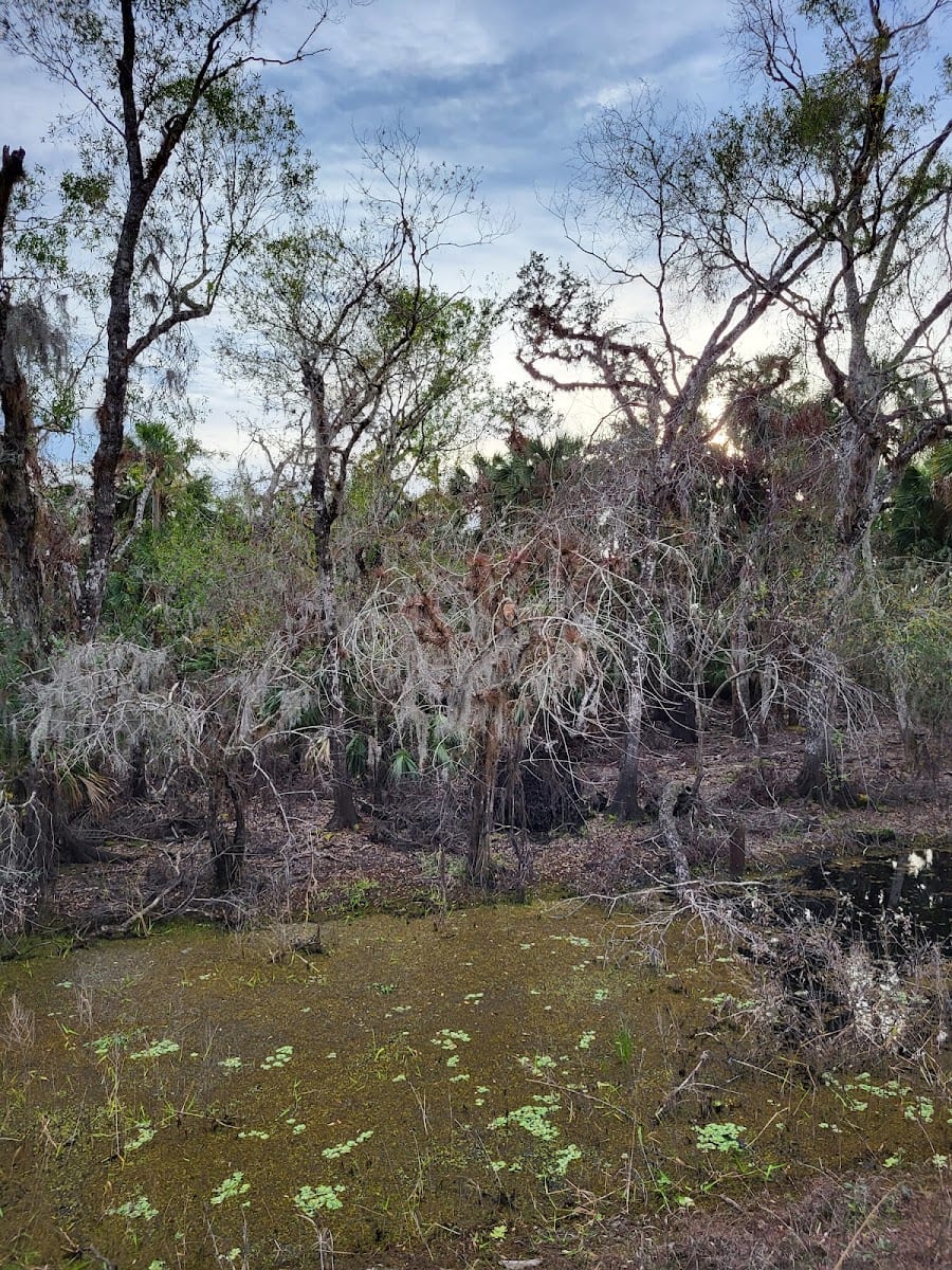 Myakka River State Park Powerline Road Trailhead, photo 3