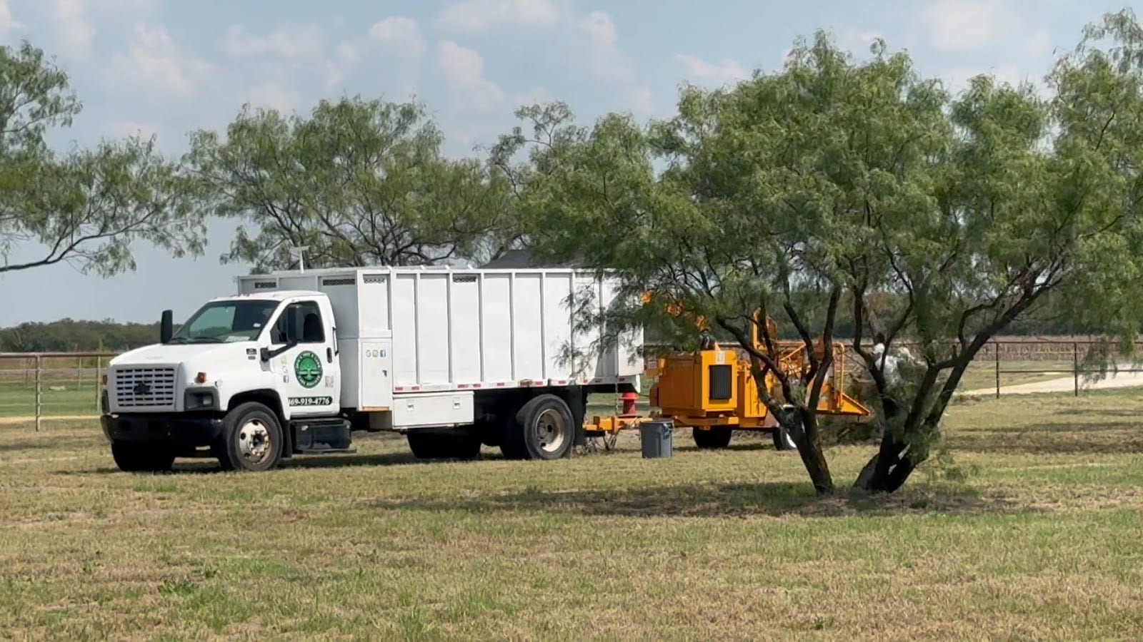 Erik's Tree & Lawn Care Services, photo 3