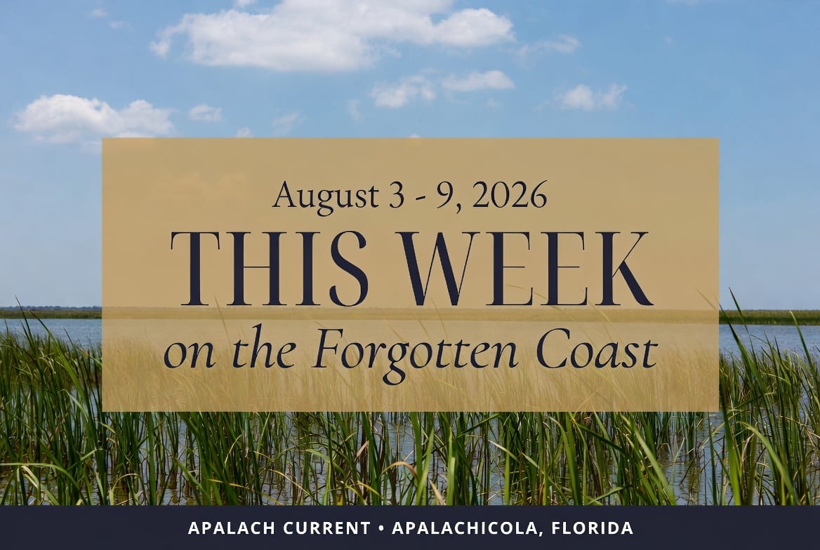 Forgotten Coast Uncovered: Local Secrets, Can’t-Miss Events This Week!