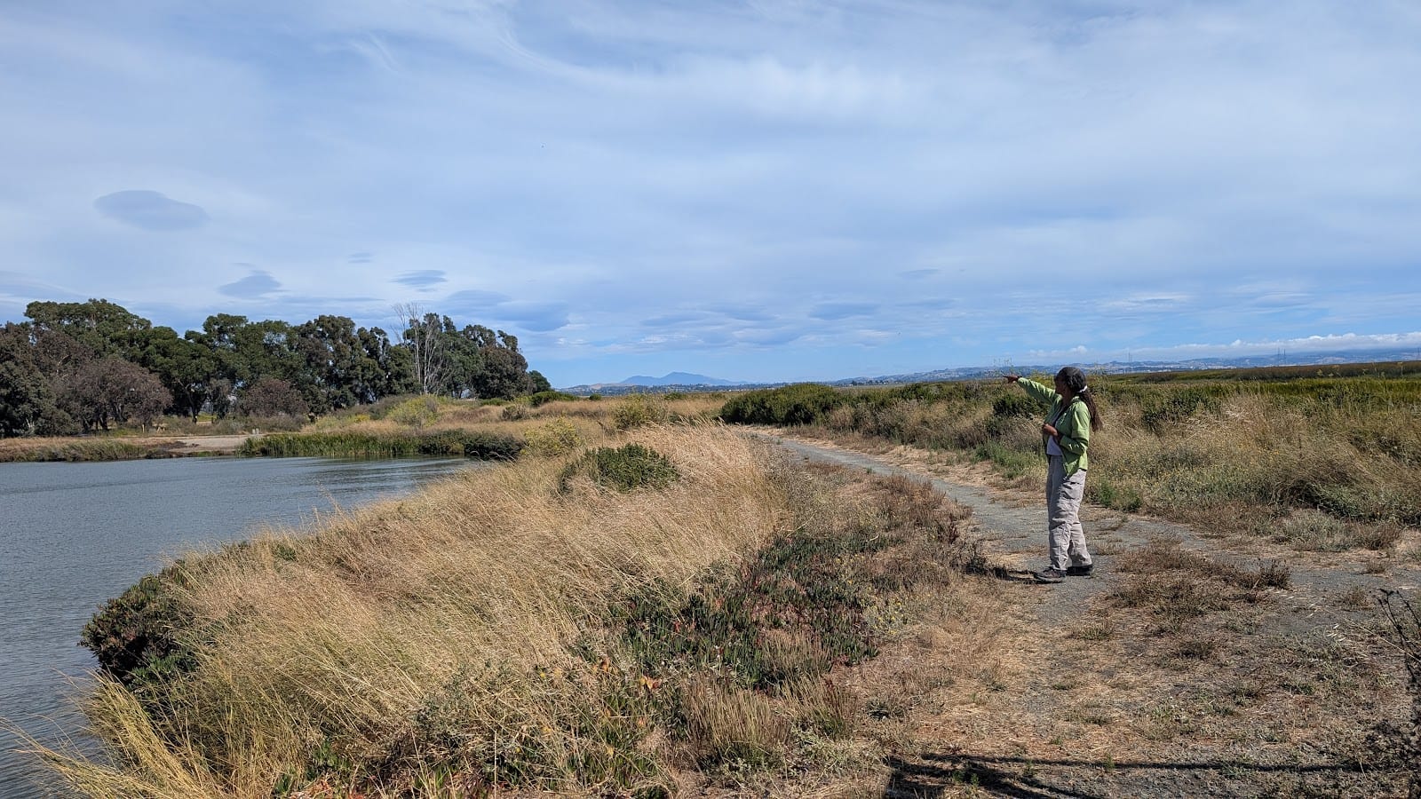 Salt Point, photo 2