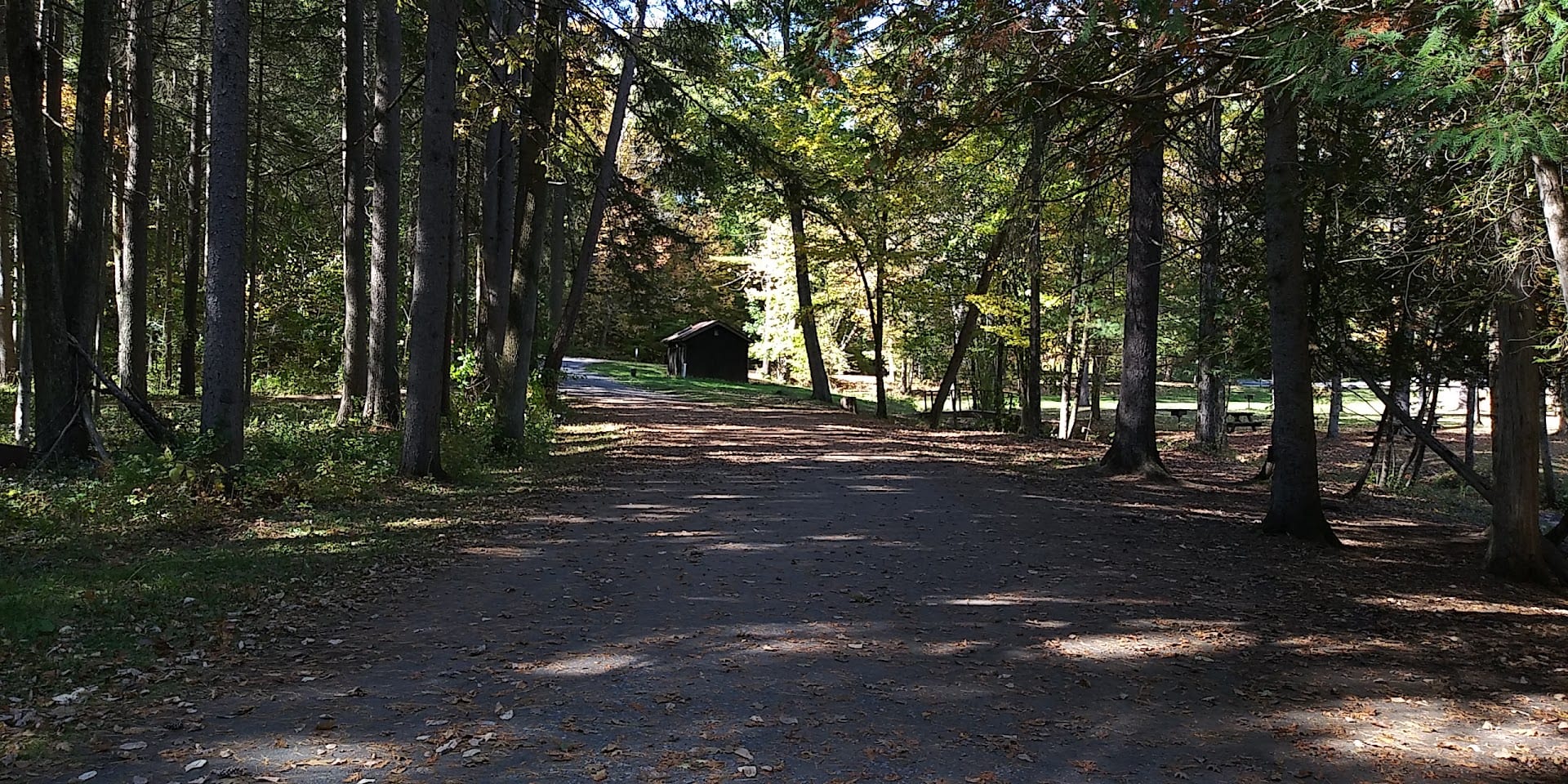 Karista Spring, photo 2