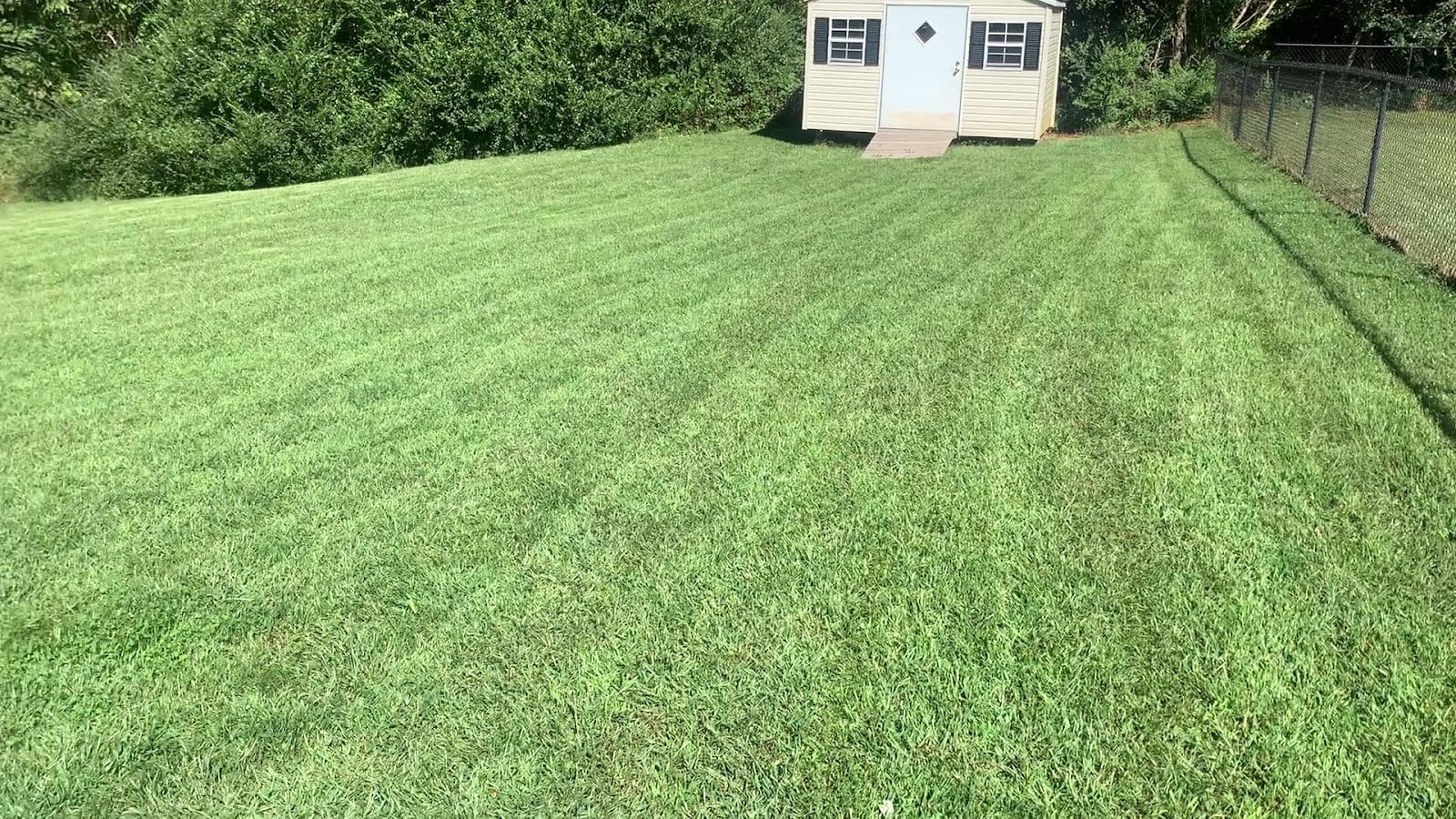 Cut Right Lawns and Services, photo 3