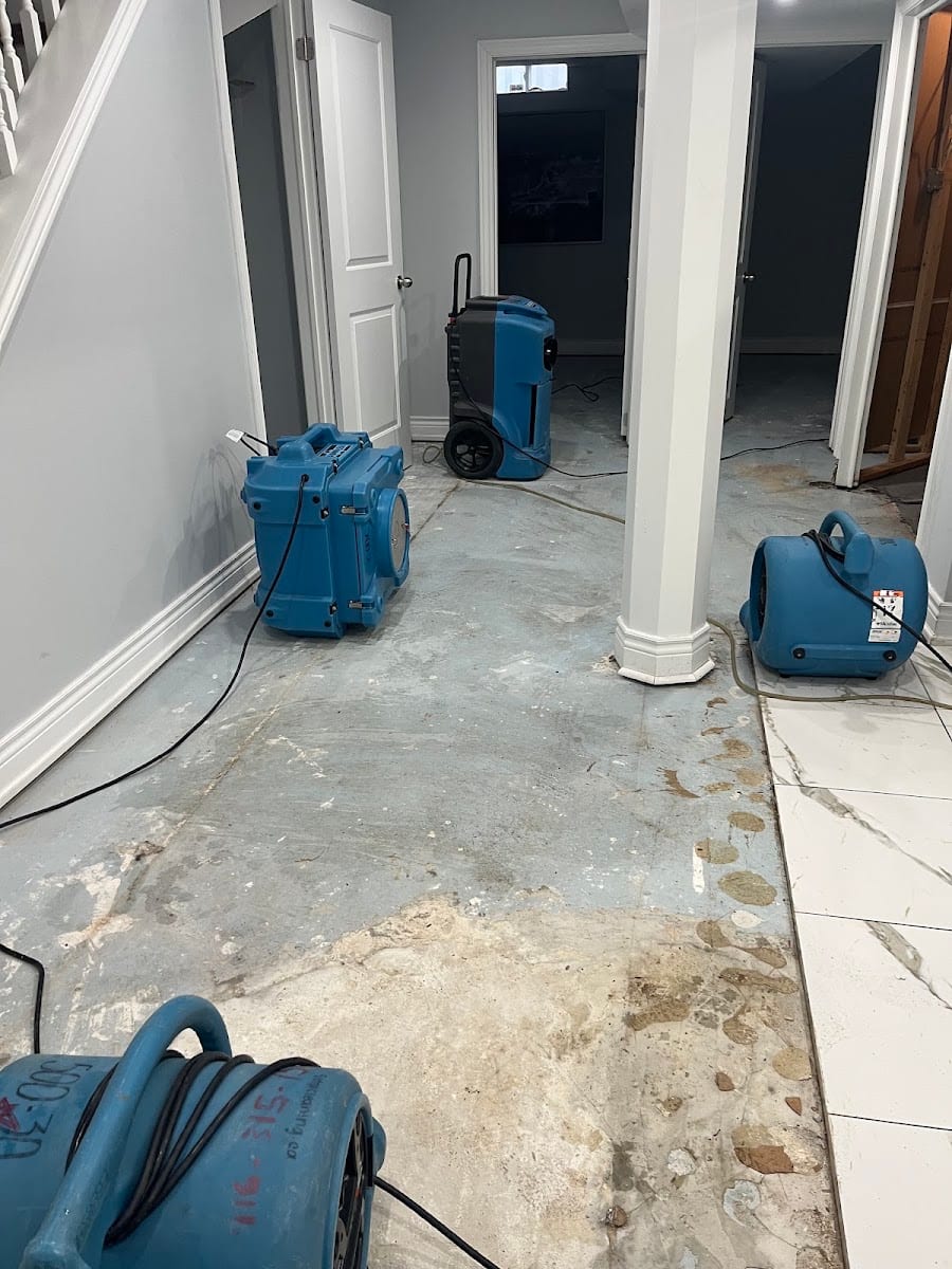 5 Star Cleaning - Water Damage Restoration, photo 4