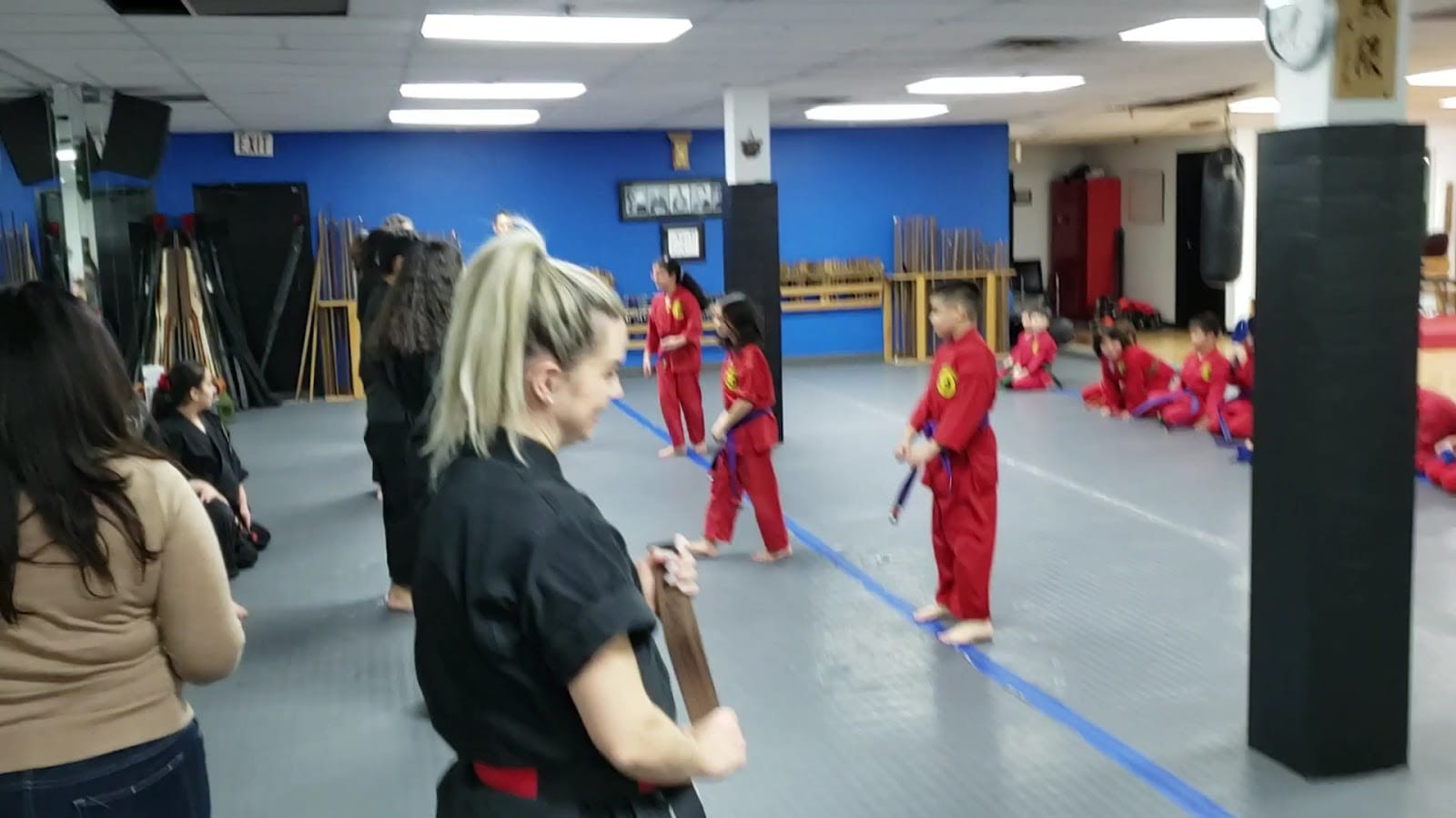 Northern Karate Willowdale- Karate & BJJ, photo 3