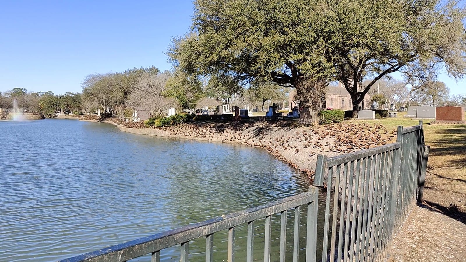 Brays Bayou Greenway, photo 2