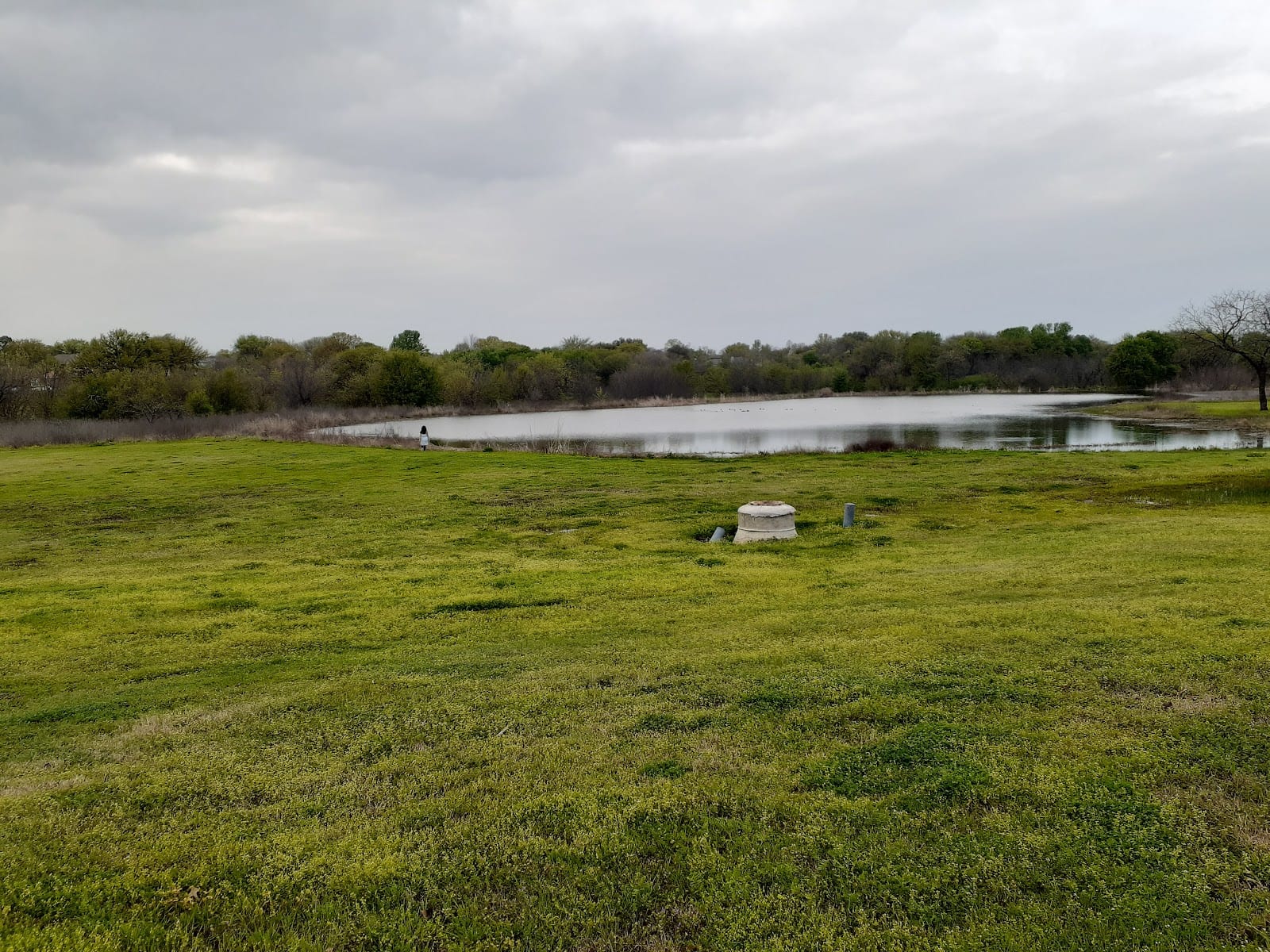 Tree Line Park