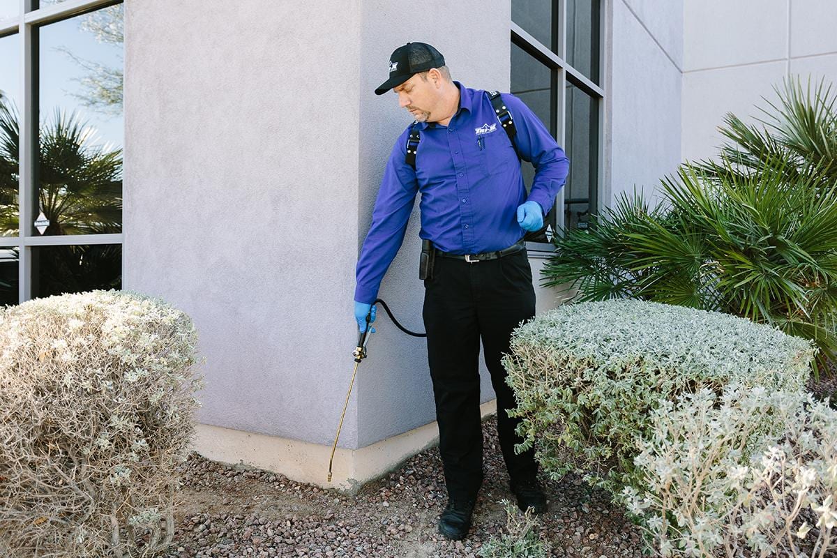 Tri-X Pest Management, photo 4