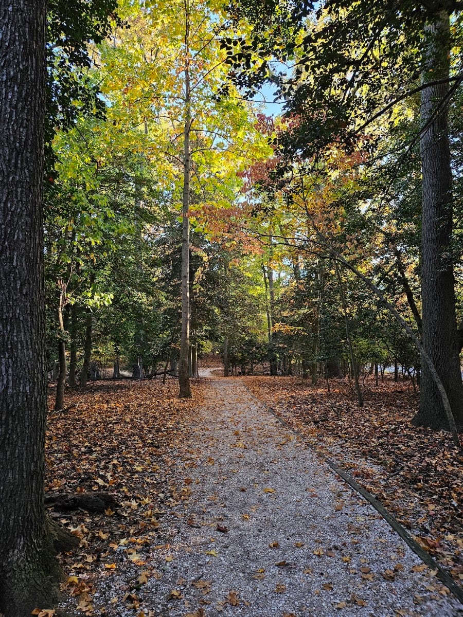 Ellen O Moyer Nature Park, photo 3