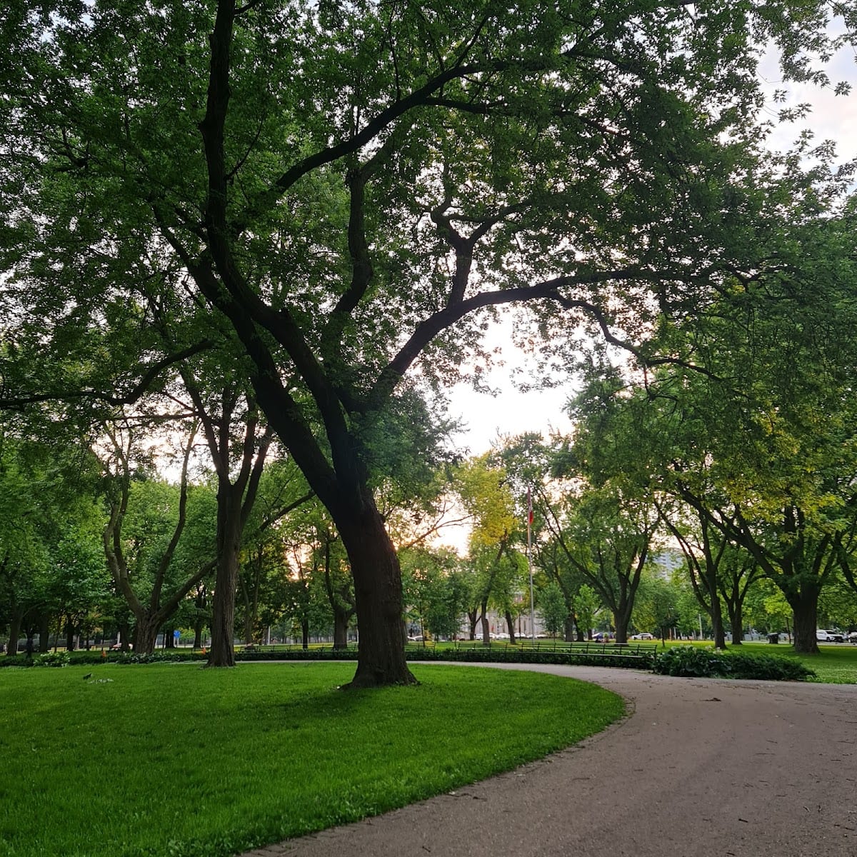 Coronation Dog Park
