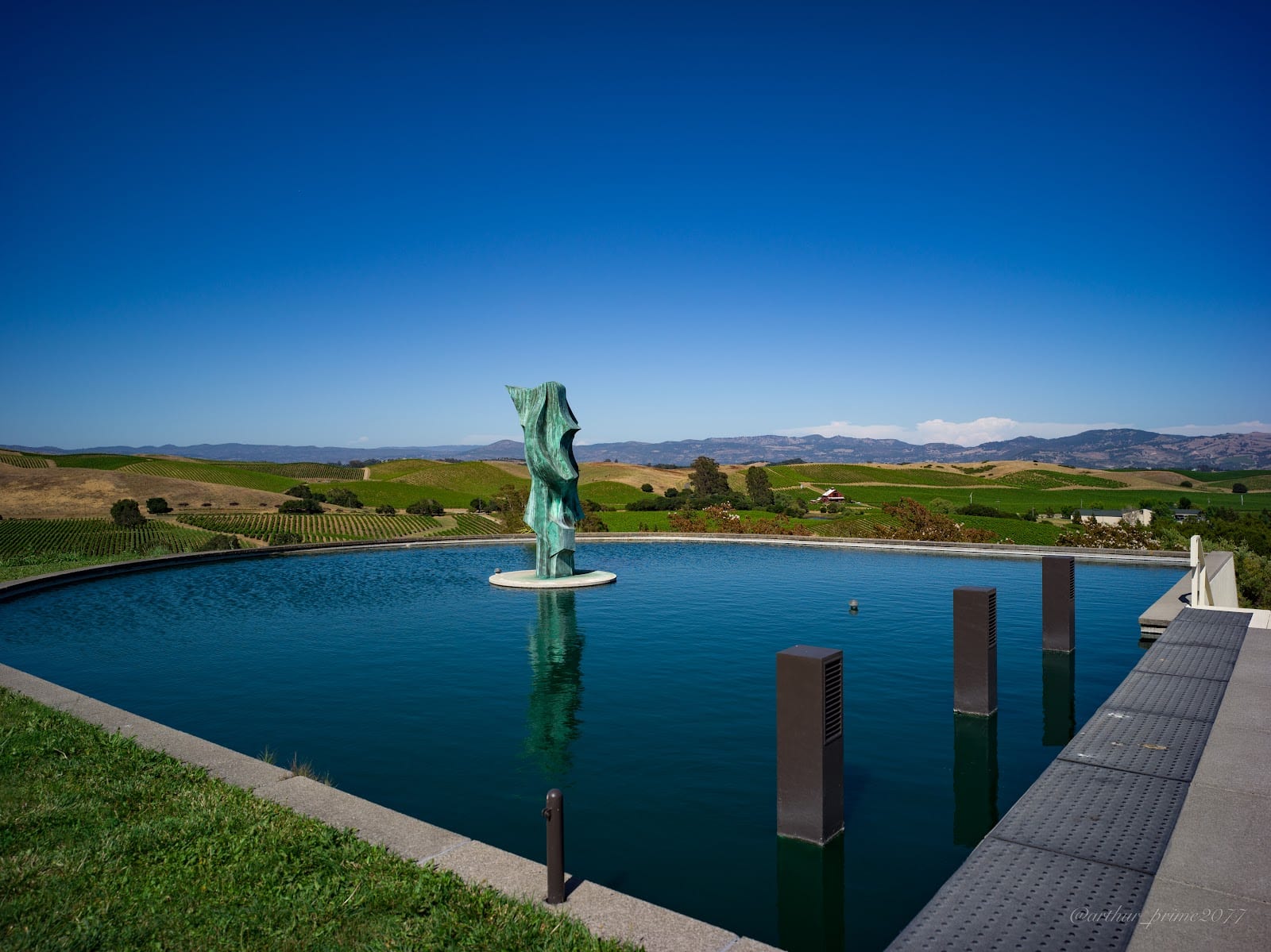Artesa Vineyards & Winery, photo 4