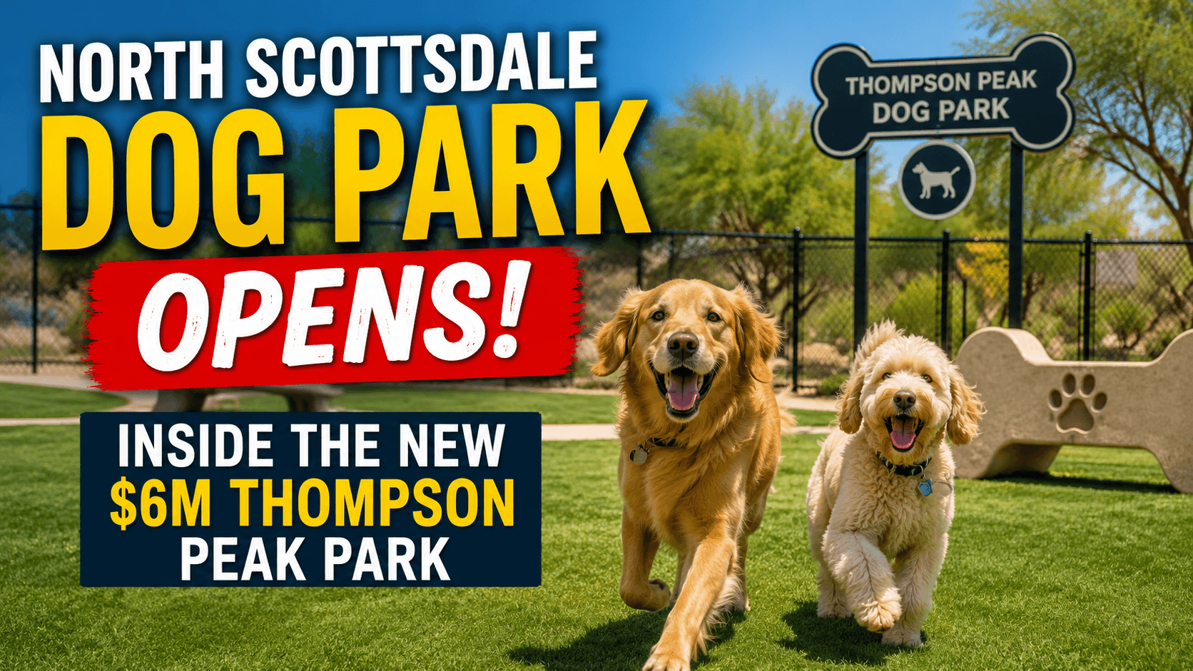 North Scottsdale Dog Park Opens: Inside the New $6M Thompson Peak Park