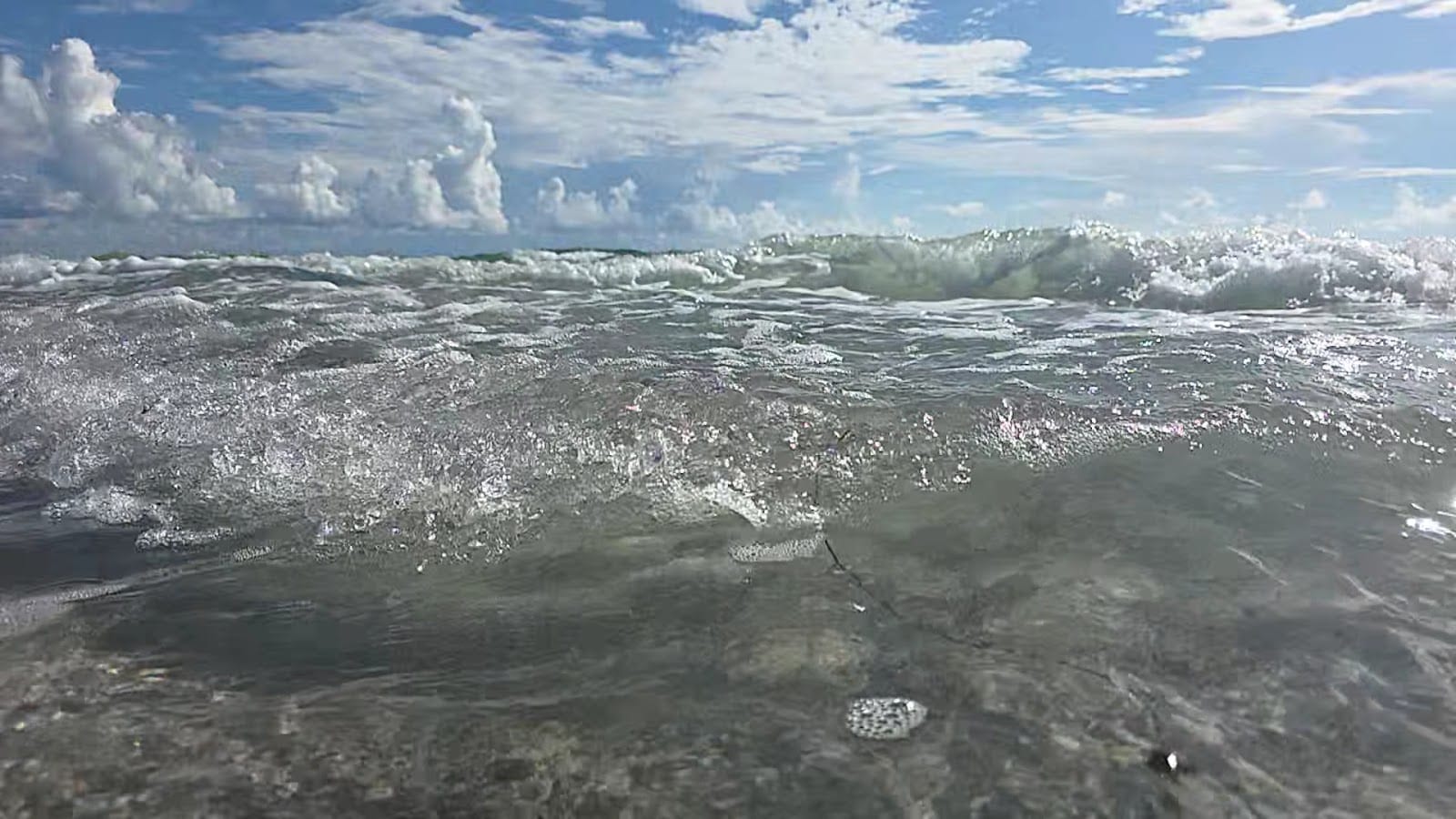 Longboat Key Public Beach Access & Parking, photo 2