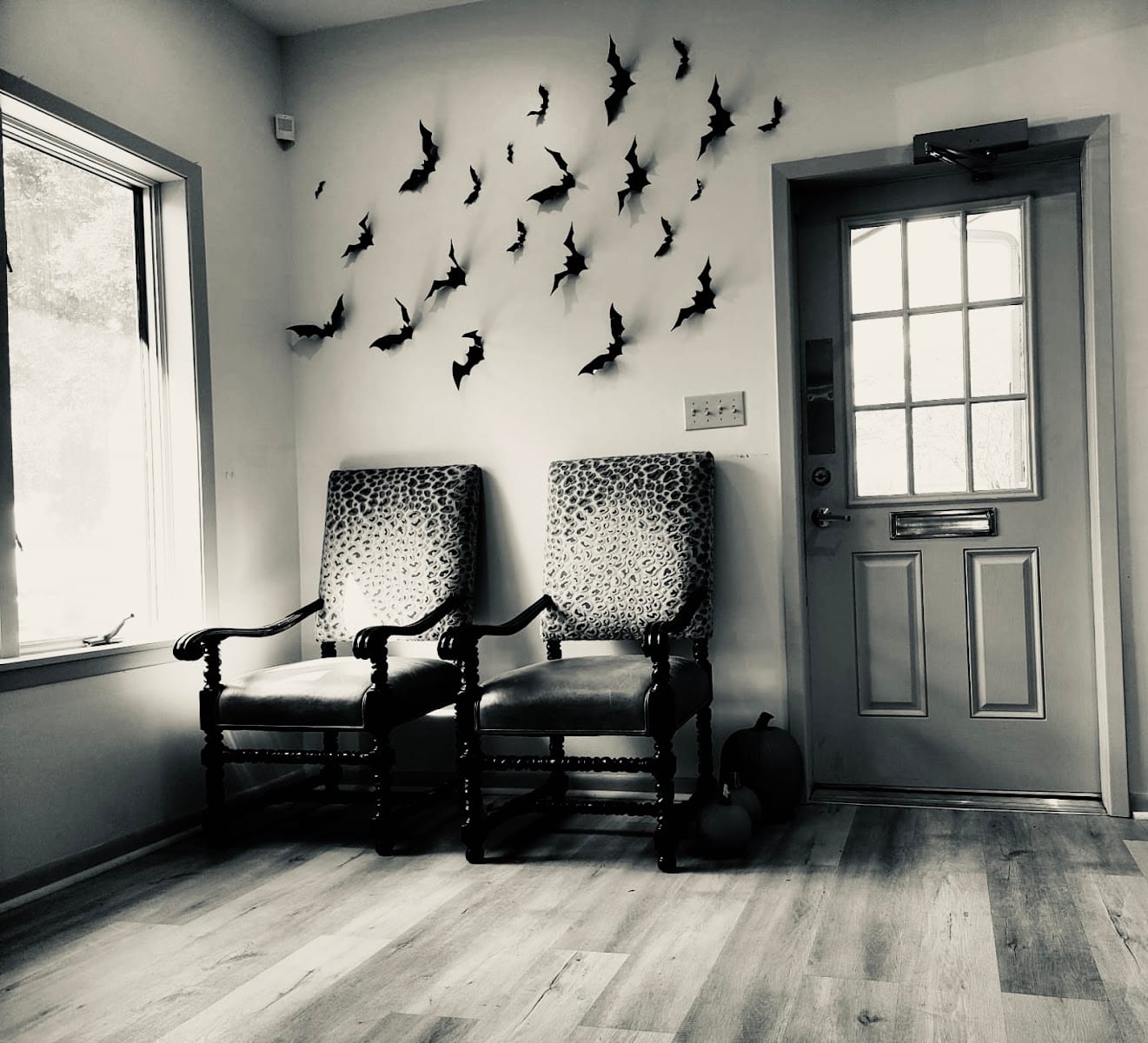 Dream Dental, photo 4