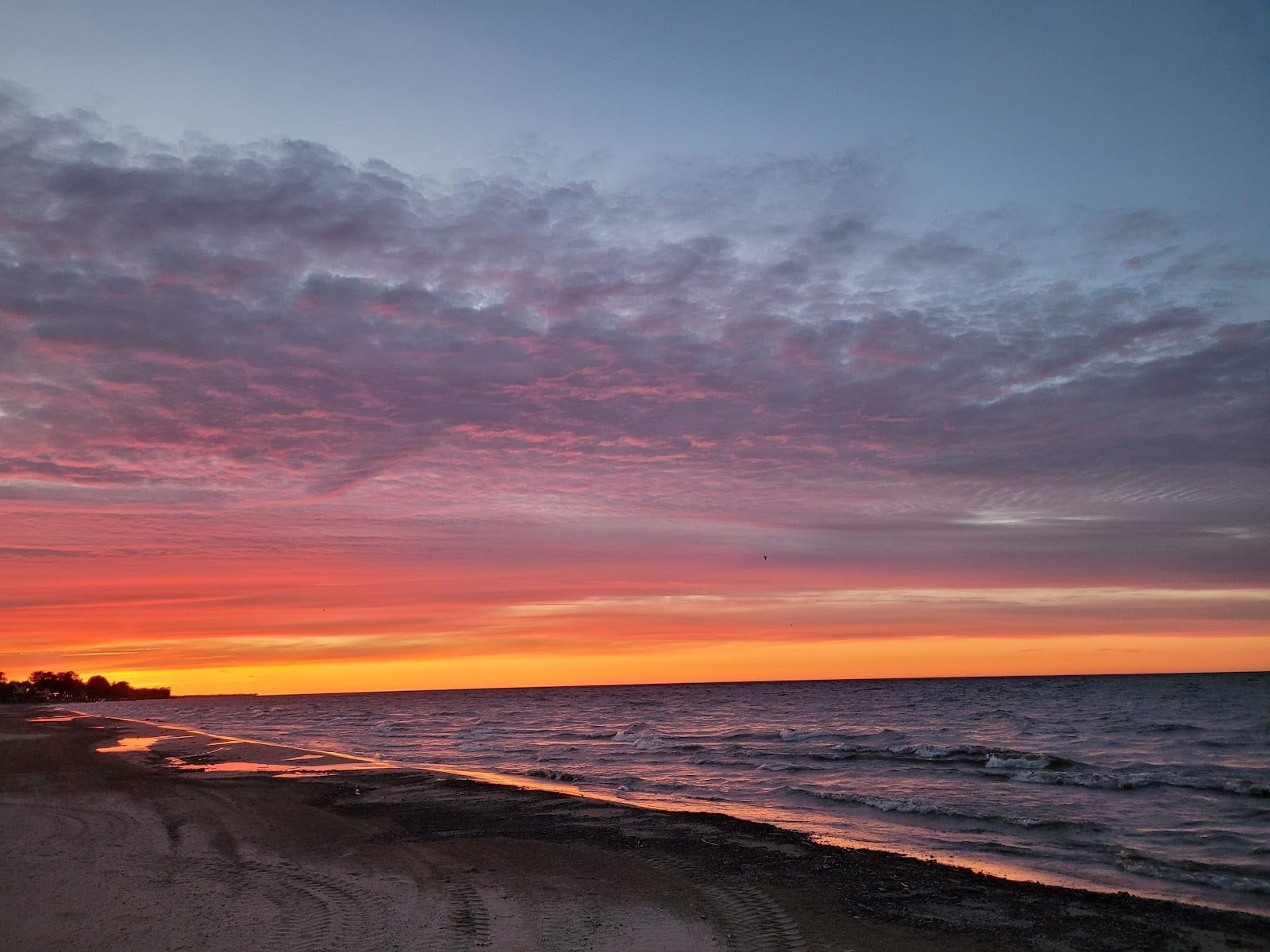 Ontario Beach Park - Volleyball net, photo 2