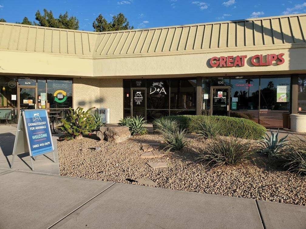 Dermatology for Animals - Scottsdale, photo 3