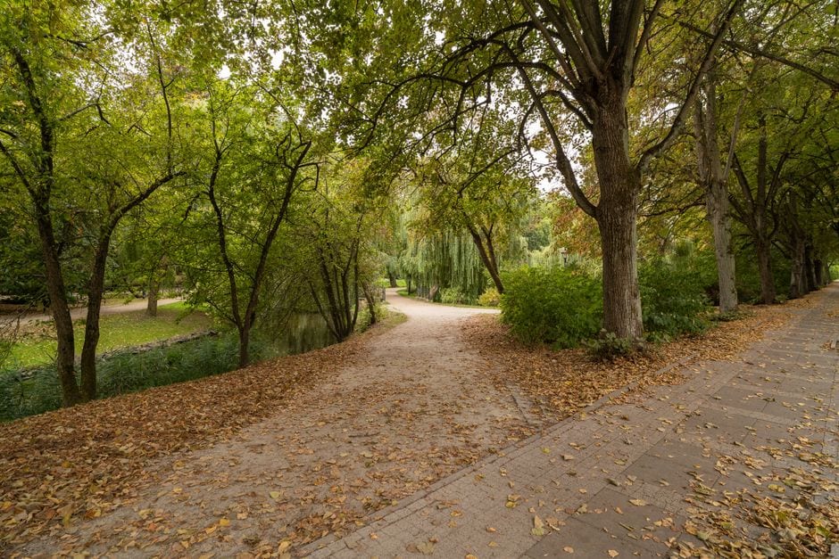 Illustrative stock photo of a winding park path covered with autumn leaves