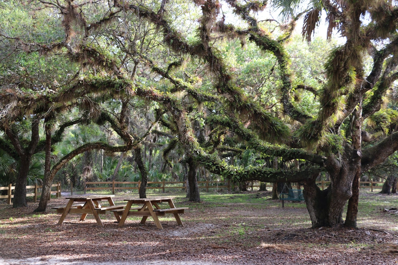 Oaks Park
