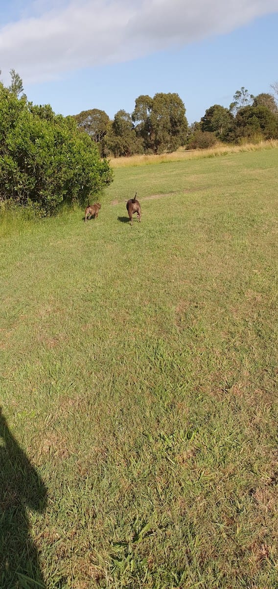 Clarendon Reserve Dog Off Leash Area