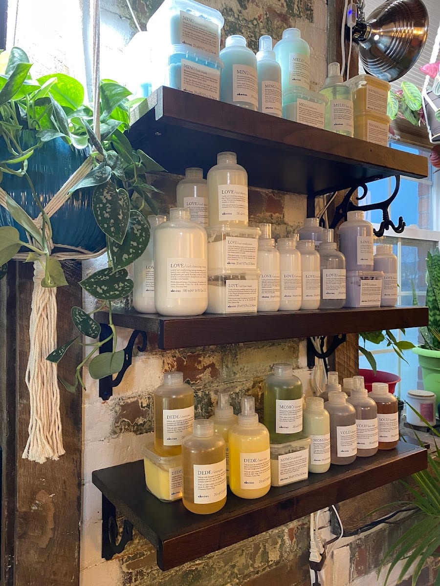 Dañeila's Sunshine Salon