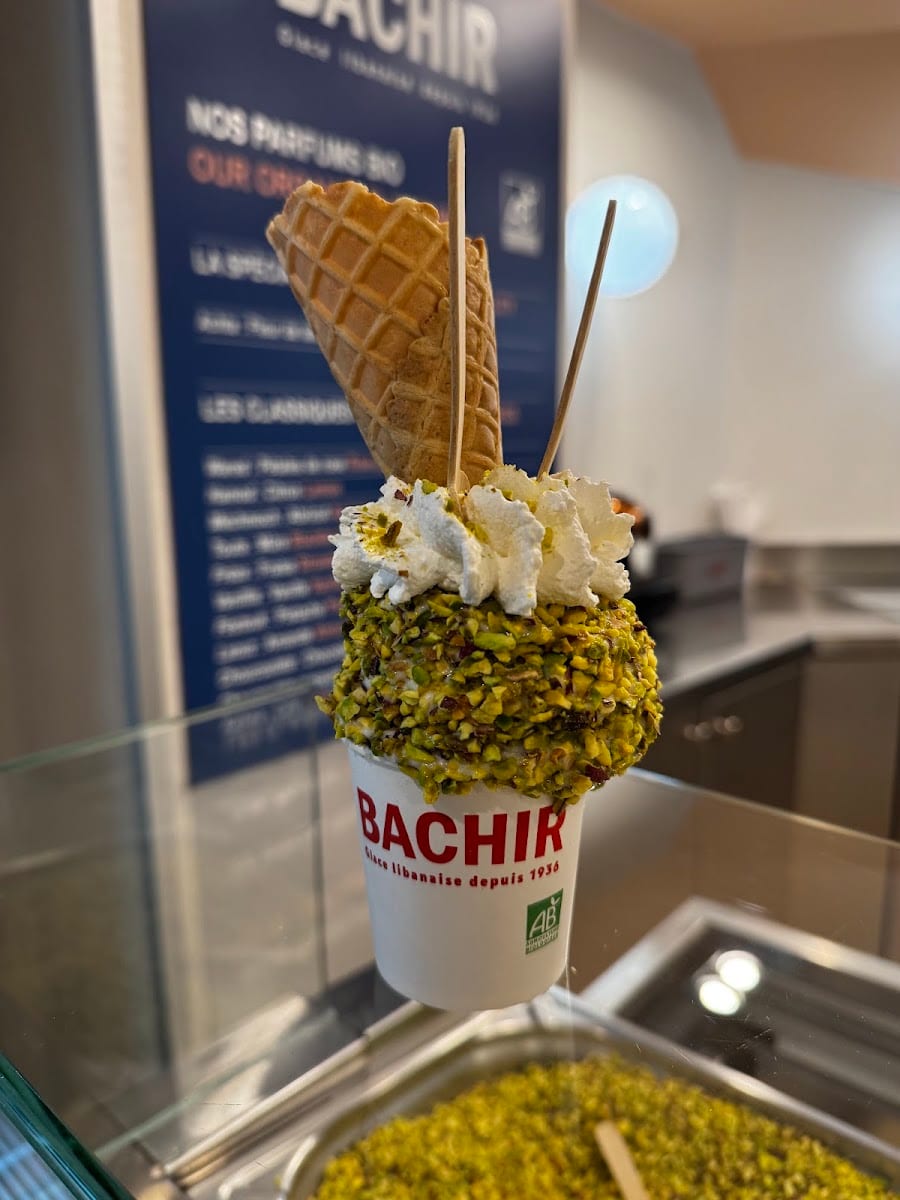 Bachir, photo 4