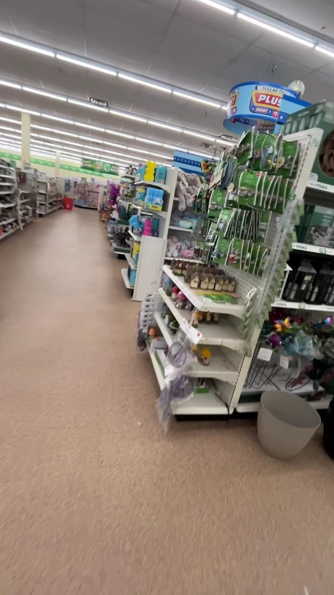 Dollar Tree, photo 3