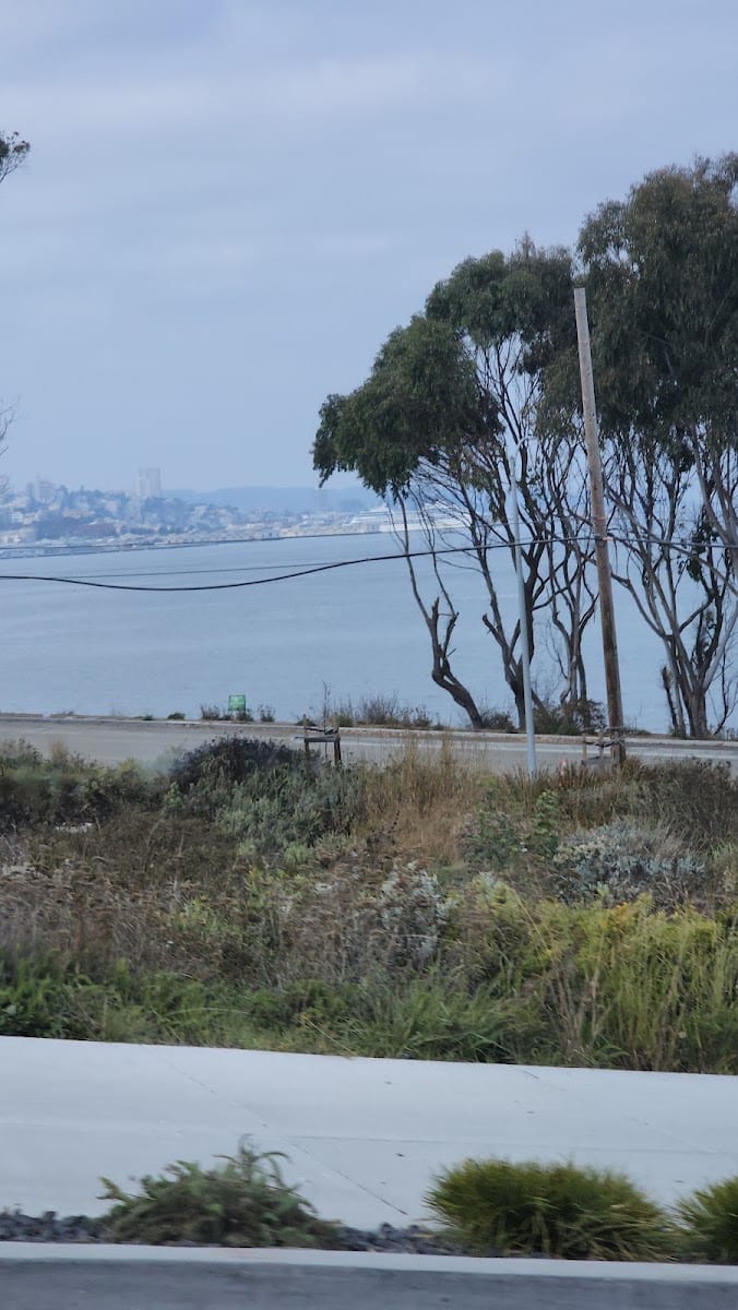 Treasure Island Playground, photo 3