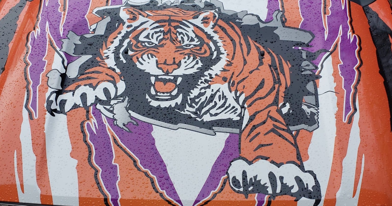 Tiger Paw Towing, photo 3